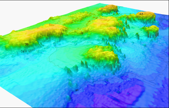 Oblique color shaded-relief view of Cat's Paw Reef