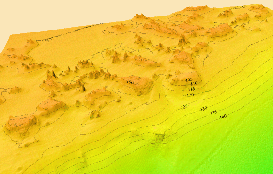 Oblique color shaded-relief view of the Pinnacles Reef Complex