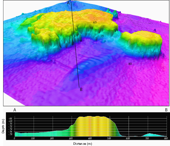 Oblique color shaded-relief view and bathymetric profile of Roughtongue Reef