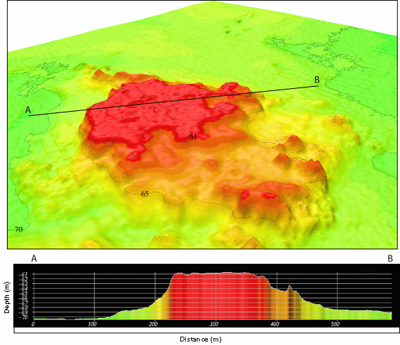 Oblique view of color shaded-relief bathymetry and bathymetric profile of Yellow Tail Reef