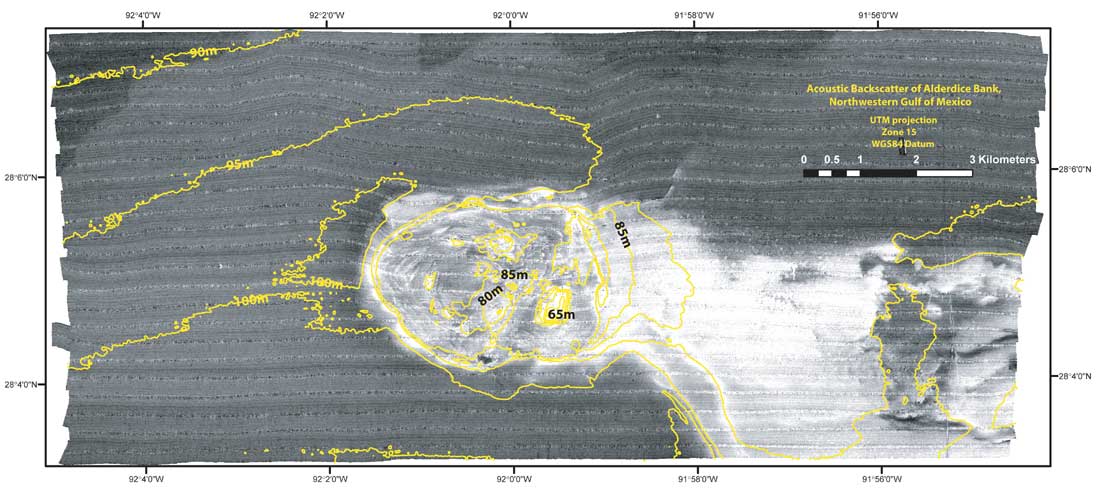 Alderdice Bank acoustic backscatter