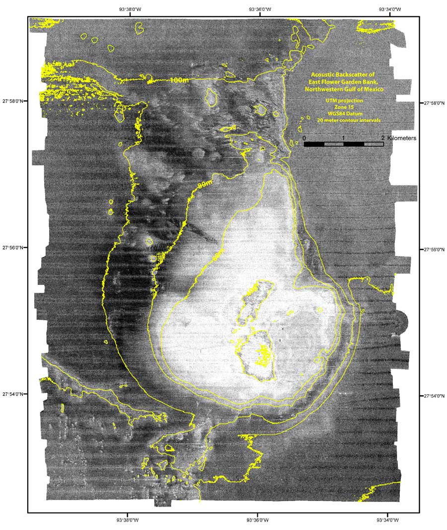 East Flower Garden Bank acoustic backscatter