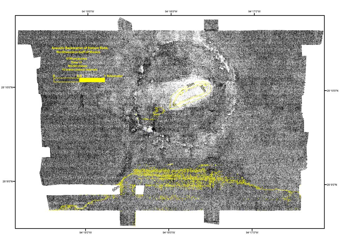 Stetson Bank acoustic backscatter image