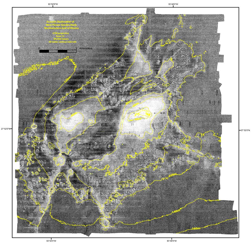 West Flower Garden Bank acoustic backscatter