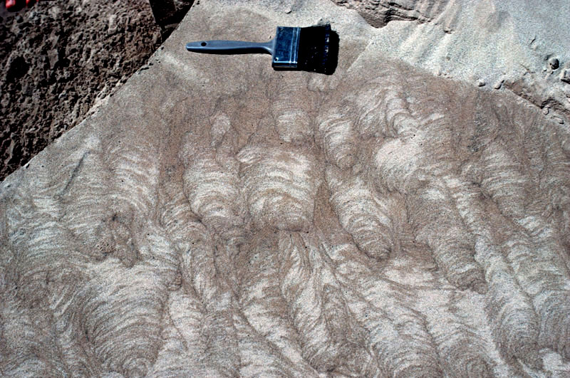 Photo of rock or sand showing pertinent structure or structures; see caption below.
