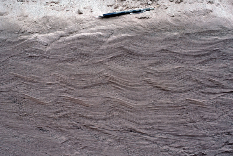 Photo of rock or sand showing pertinent structure or structures; see caption below.