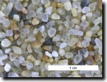 Sample photo of grains.