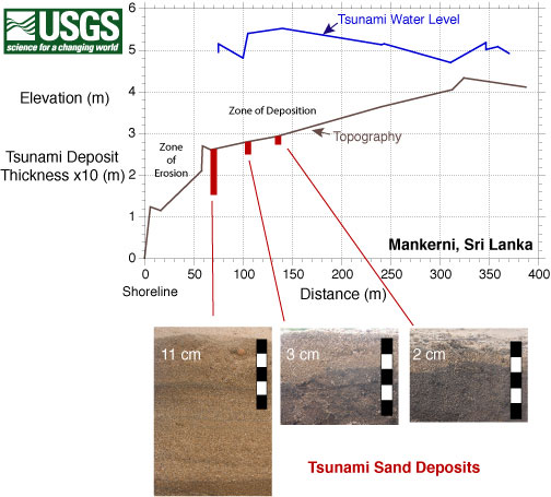 Graph showing tsunami deposit thickness and water level at Mankerni