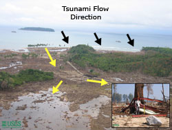 Photo along coast from helicopter, with arrows drawn on top indicating tsunami flow direction