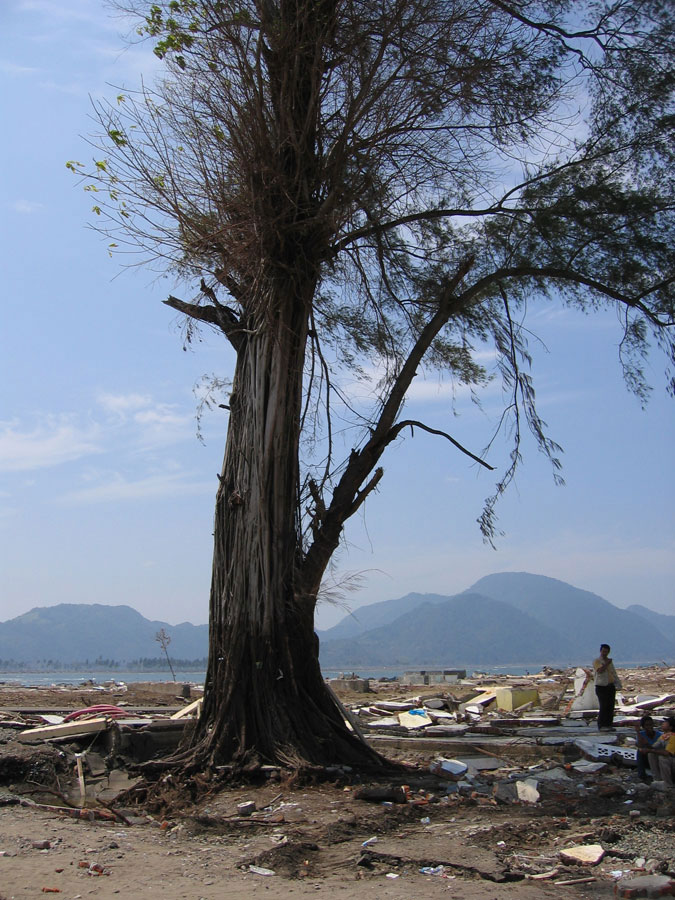 Photo in Banda Aceh, see caption above.