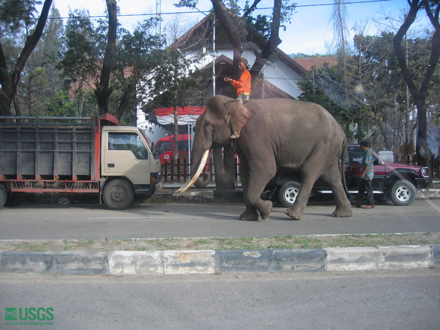 Photo in Sumatra, see caption above.