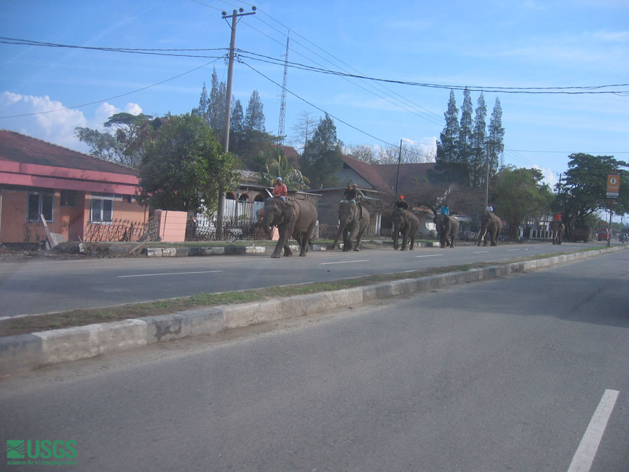 Photo in Sumatra, see caption above.