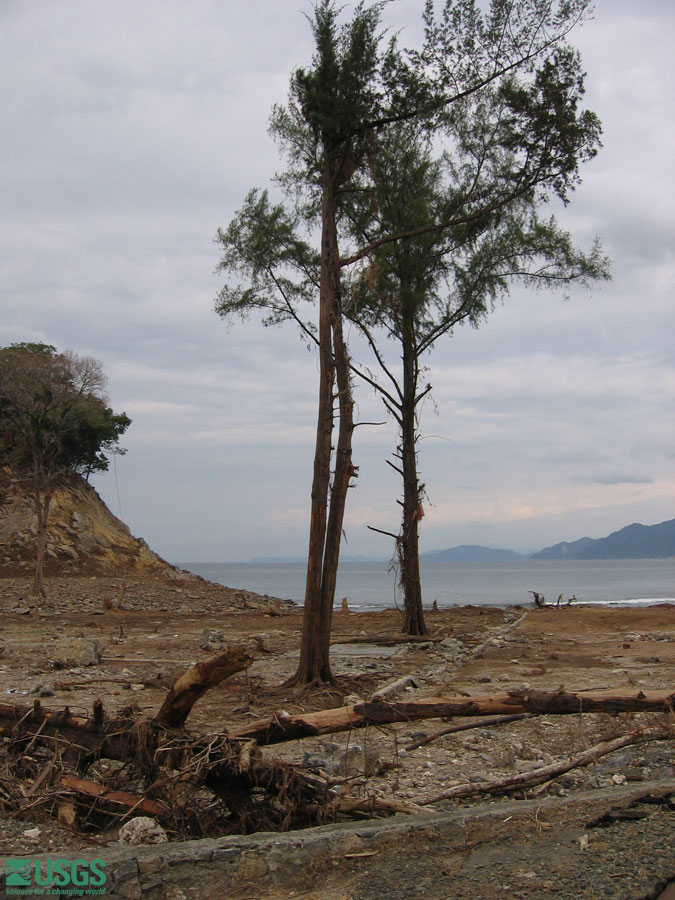 Photo in Sumatra, see caption above.