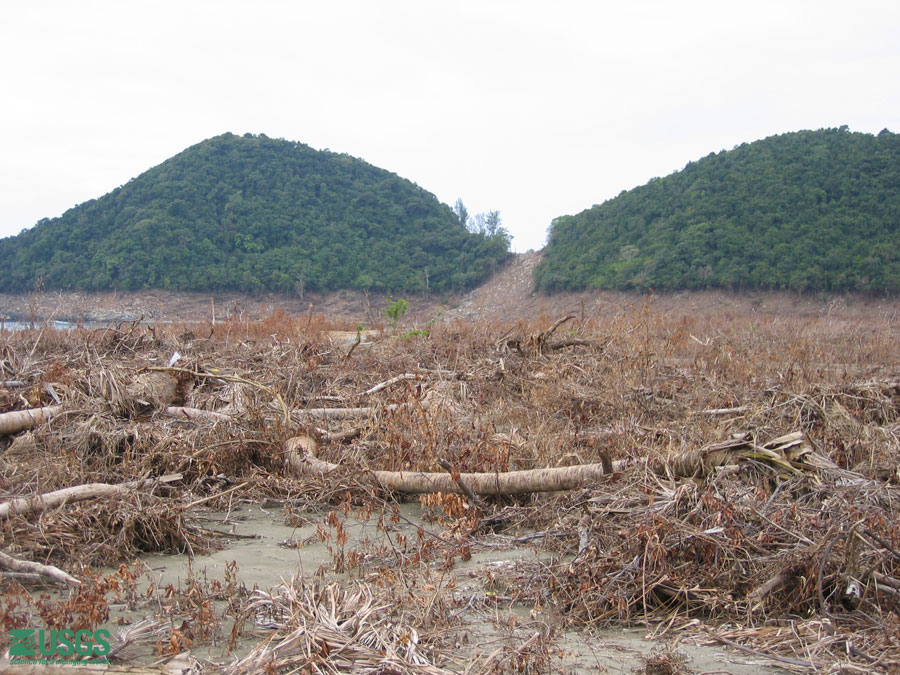 Photo in Sumatra, see caption above.