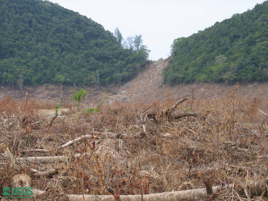 Photo in Sumatra, see caption above.