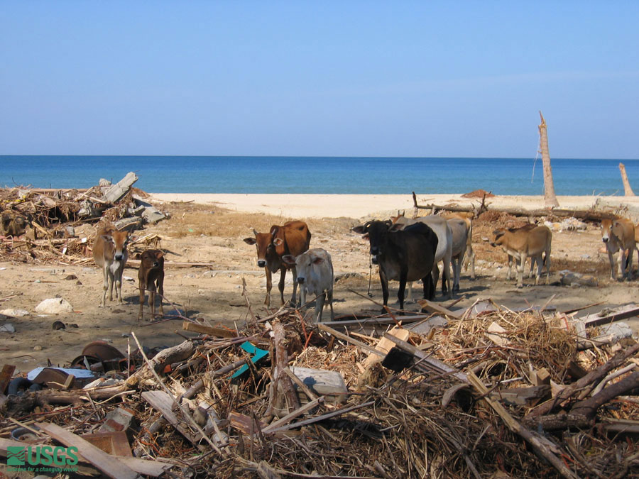 Photo in Sumatra, see caption above