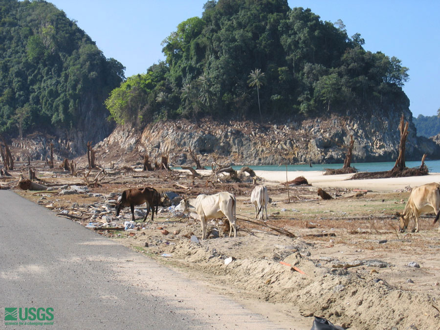 Photo in Sumatra, see caption above