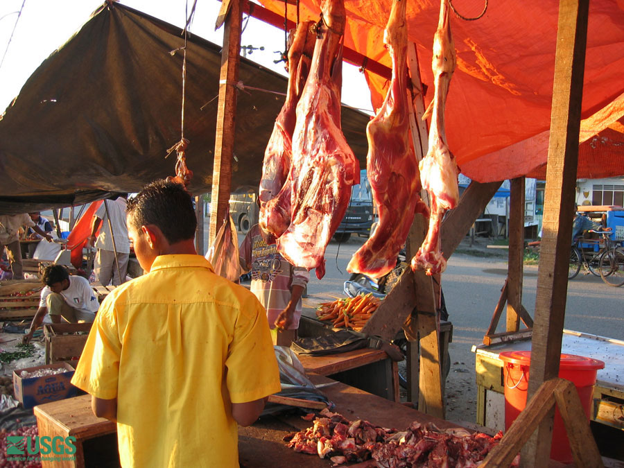 Photo in Banda Aceh, see caption above