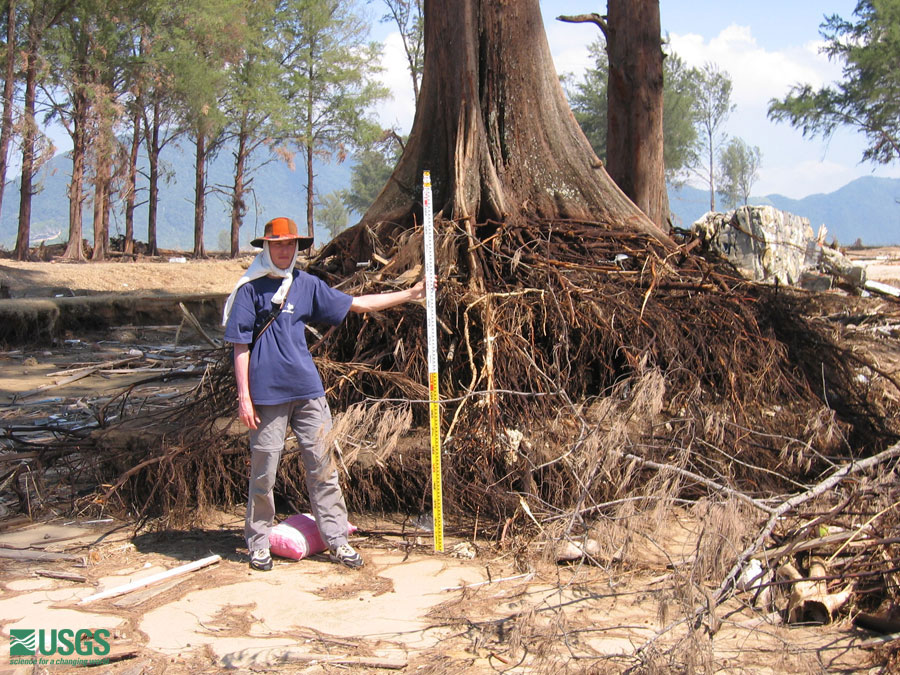 Photo at the Lampuuk golf course survey site, see caption above