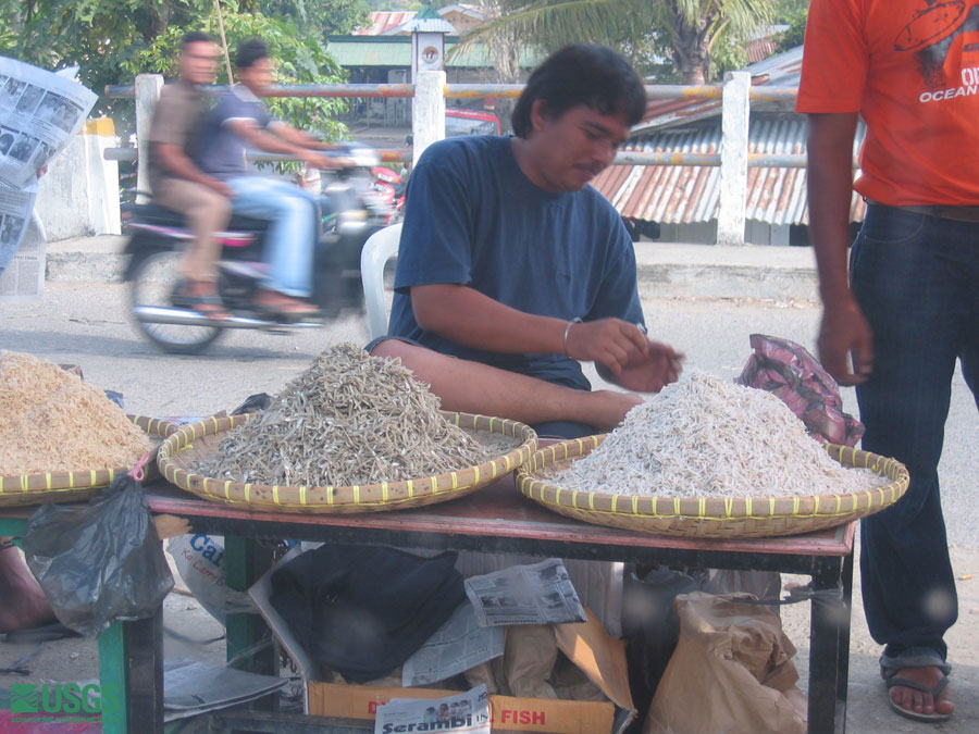 Photo in Sumatra, see caption above