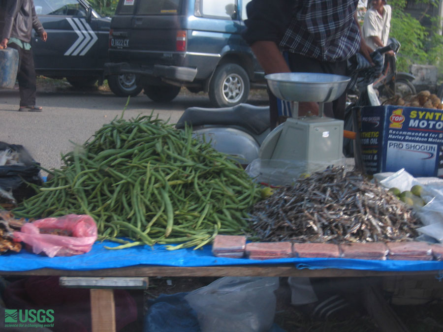 Photo in Sumatra, see caption above