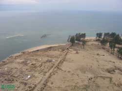 Photo showing new beach sand
