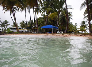 High tide at a groundwater sampling site on Roi Namur atoll, November 2013.