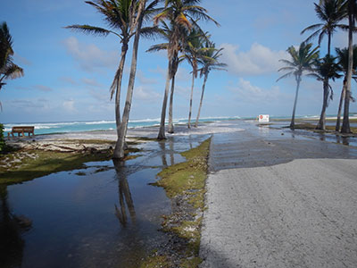 Waves actively washing up and over the sandy berm with a few palm trees, onto a roadway near the ocean. Breaking ocean waves are in background.