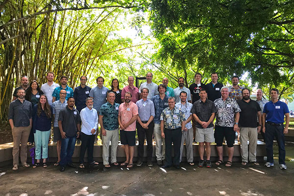 Participants of workshop, about 30 adults, standing in two rows against a tropical backdrop.