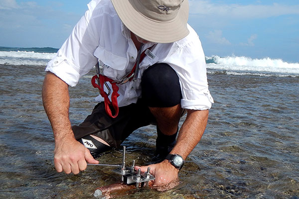 Photograph of scientist securing a wave-tide gauge on the reef flat.