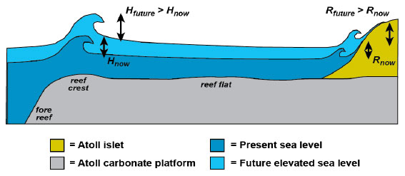 Schematic showing wave heights and runups considering SLR.