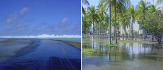 Photographs following the high surf event on Kwajalein, December 2008, that caused saltwater overwash onto freshwater well fields and facilities.