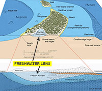Schematic showing fore reef location.