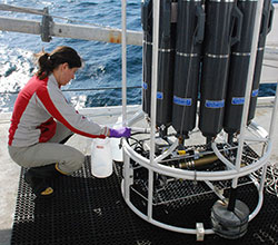Photograph of Nancy Prouty collecting water from the Niskin bottles on the CTD after deployment.