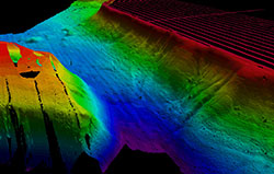 3-D image of the Snohomish Delta from swath bathymetry and acoustic backscatter data.
