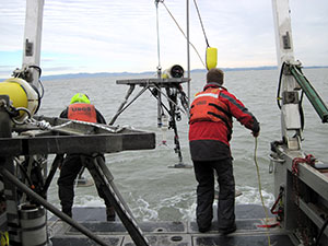 Photograph of USGS crew recovering instruments from San Francisco Bay.