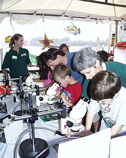 Photograph of Mary McGann with other USGS volunteers, showing foraminifera with a microscope.