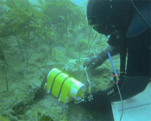 BOEM funded construction and deployment of pressure sensors designed by UCSB oceanographer Libe Washburn, which collect wave height data otherwise not quantified.