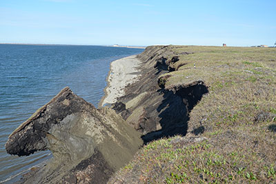 Photograph of eroding bluff in Alaska.