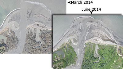 Aerial photographs of the mouth of the Elwha River, one taken in March 2014, the other in June 2014.