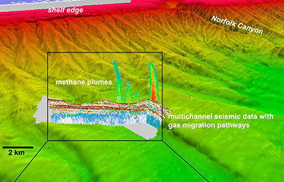 Three-dimensional perspective view of deepwater seeps south of Norfolk Canyon on the northern U.S. Atlantic margin.