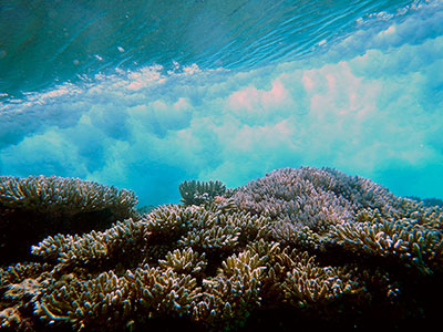 Underwater photograph of a wave breaking over a coral reef on May 5, 2014, on Kwajalein Atoll in the Republic of the Marshall Islands.