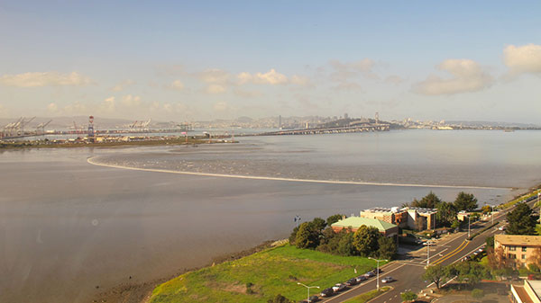 Photograph shows the tsunami wave, generated by Japan's 2001 Tohoku earthquake, as it makes its way through San Francisco Bay.