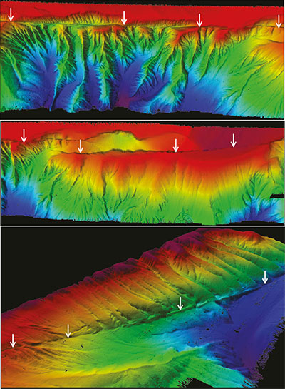 Perspective views of multibeam bathymetry data acquired by the USGS aboard research vessell Medeia. Shallower depths in red. Arrows point to the distinct line in the seafloor associated with the Queen Charlotte-Fairweather fault.