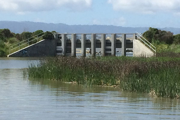 Photograph of the water control structure between Alviso Slough and about 14000 acres of former salt ponds currently undergoing restoration.