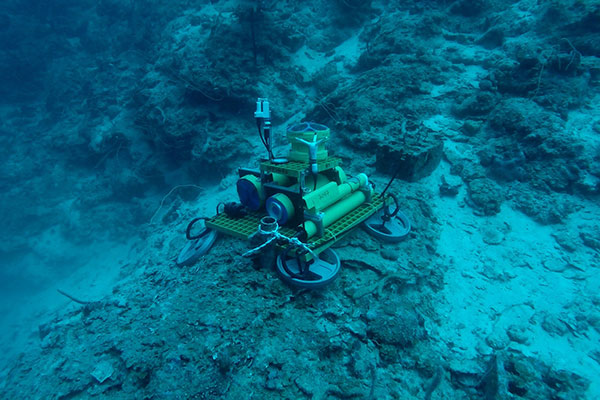 Underwater photograph shows instrument package on the seaward slope of the coral reef off Puerto Rico.