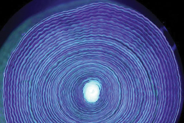 Photo of growth rings of cross-section of 44-year-old deep-sea coral from Newfoundland, photo by Owen Sherwood.