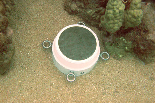 Photograph of a SedPod on the sandy seafloor near a coral reef.
