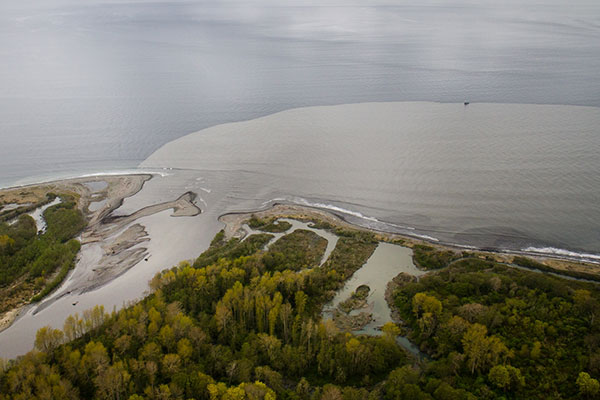 Aerial Photo of the mouth of the Elwha River and its estuaries, showing a visible sediment plume blossoming out into the sea.