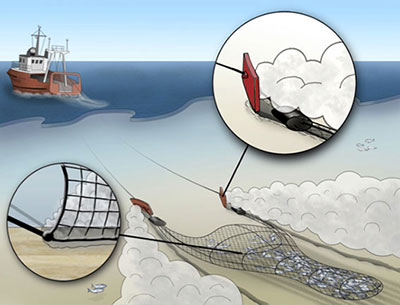 Conceptual drawing of bottom trawling from a fishing boat, showing a net and metal plate being dragged along the seafloor behind a boat on the surface. Image credit: Ferdinand Oberle, 2014.